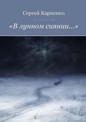 Сергей Карпенко - «В лунном сиянии…»