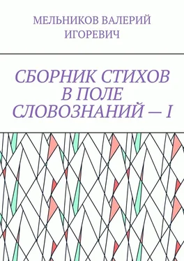 ВАЛЕРИЙ МЕЛЬНИКОВ СБОРНИК СТИХОВ В ПОЛЕ СЛОВОЗНАНИЙ – I обложка книги