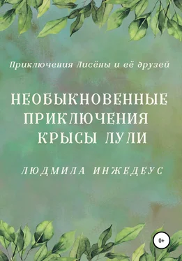 Людмила Инжедеус Необыкновенные приключения крысы Лули обложка книги