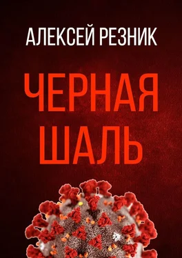 Алексей Резник Черная шаль обложка книги