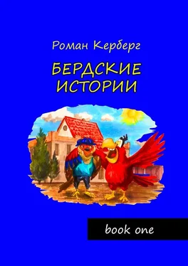 Роман Керберг Бердские истории обложка книги