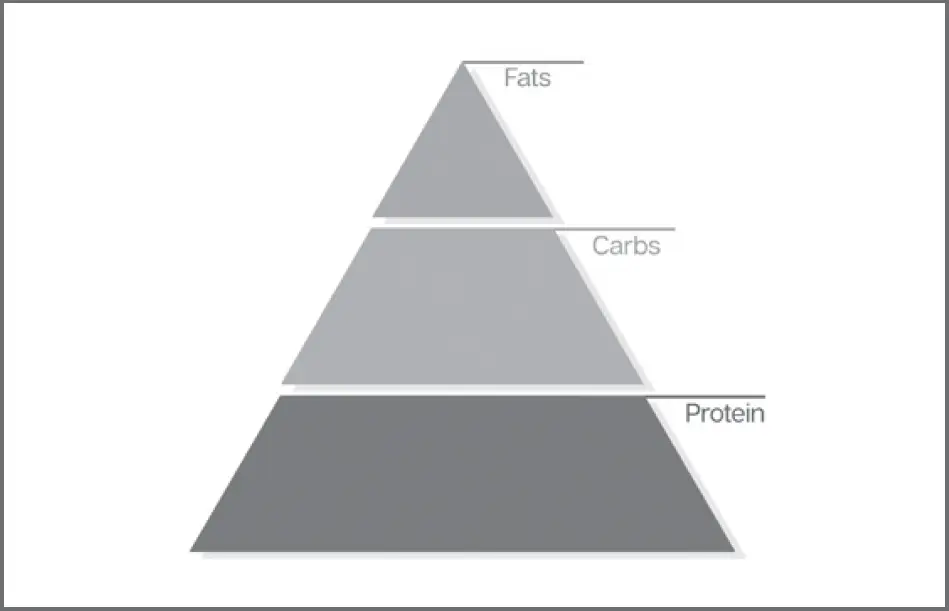 Figure 32 Protein has the largest impact on body composition and performance - фото 4