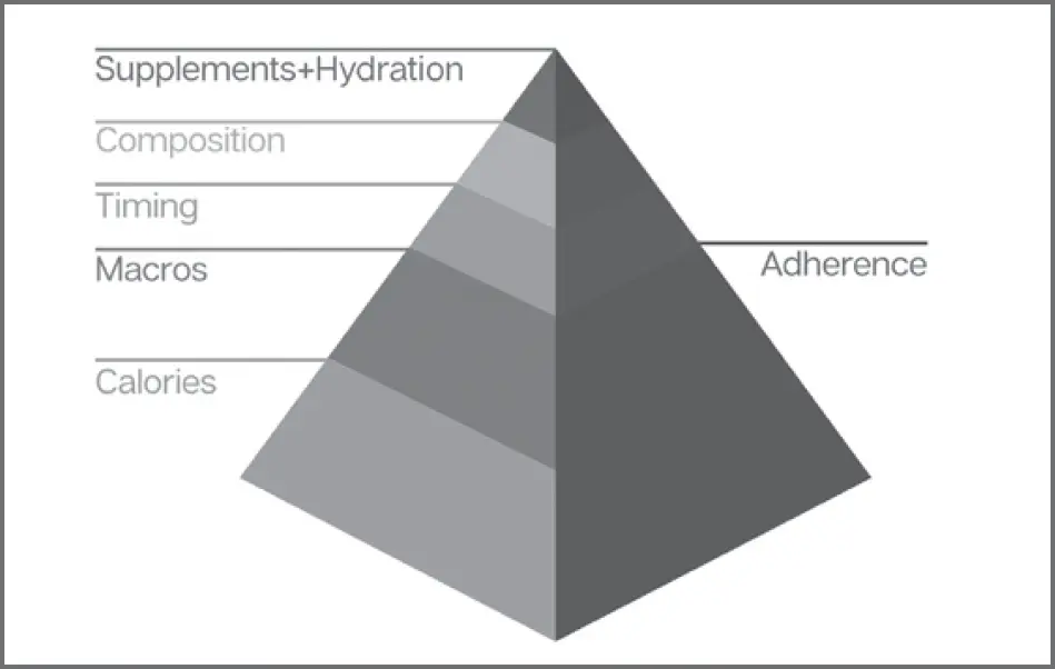 Figure 11 The Diet Priority Pyramid depicts the relative importance of the - фото 1