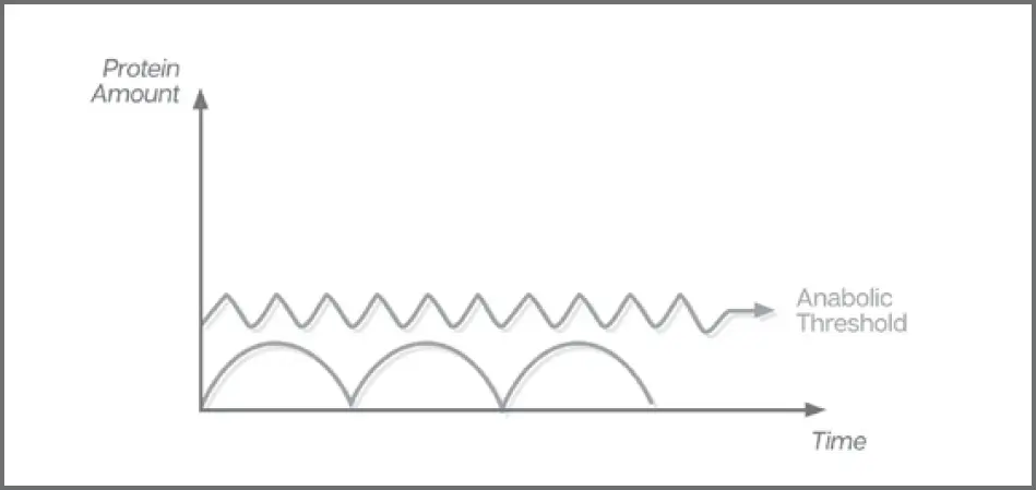 Figure 47 The lower curves represent amino acid availability from smaller - фото 7