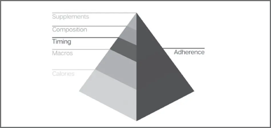 Nutrient timing has six distinct components Meal number describes the number - фото 6