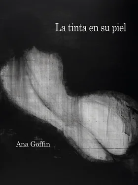 Ana Goffin La tinta en su piel обложка книги