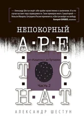 Александр Шестун - Непокорный арестант - от «Кащенко» до «Бутырки». Часть 2