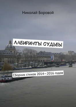 Николай Боровой Лабиринты судьбы. Сборник стихов 2014—2016 годов