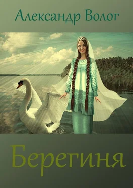 Александр Волог Берегиня обложка книги