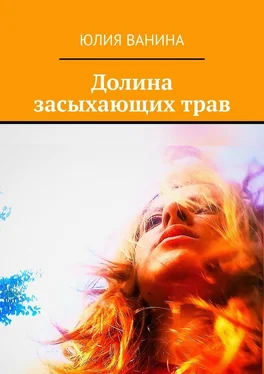 Юлия Ванина Долина засыхающих трав обложка книги