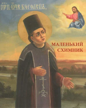 Сборник Маленький схимник обложка книги