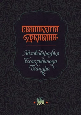 Тхакур Бхактивинод Сваликхита Дживани. Автобиография Бхактивинода Тхакура обложка книги