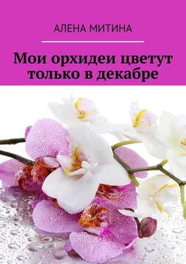 Алена Митина Мои орхидеи цветут только в декабре обложка книги