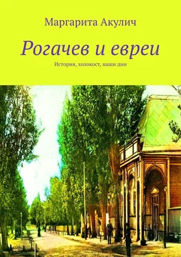 Маргарита Акулич Рогачев и евреи. История, холокост, наши дни обложка книги