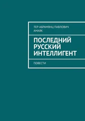 Амаяк Тер-Абрамянц - Последний русский интеллигент. Повести