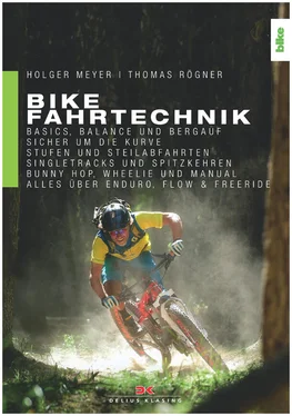 Thomas Rögner Bike Fahrtechnik обложка книги