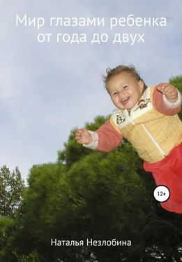 Наталья Незлобина Мир глазами ребенка от года до двух обложка книги