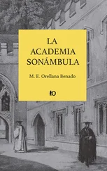 M. E. Orellana Benado - La academia sonámbula