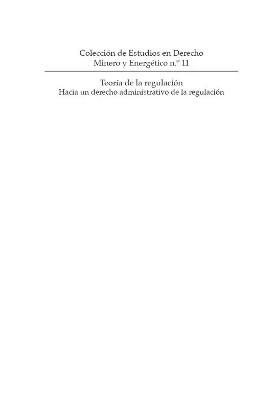 Moreno Castillo Luis Ferney Teoría de la regulación hacia un derecho - фото 2