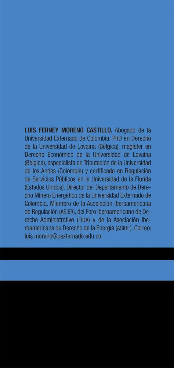 Moreno Castillo Luis Ferney Teoría de la regulación hacia un derecho - фото 1