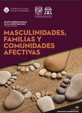 María del Rocío Enríquez Rosas Masculinidades, familias y comunidades afectivas обложка книги