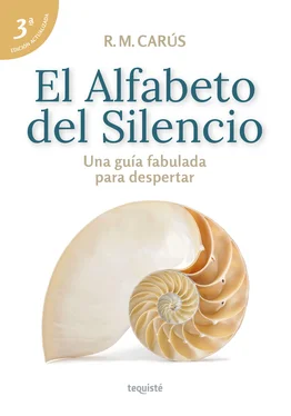 R. M. Carús El Alfabeto del Silencio обложка книги