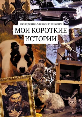 Алексей Раздорский Мои короткие истории обложка книги