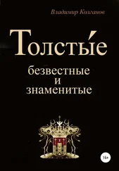 Владимир Колганов - Толсты́е - безвестные и знаменитые