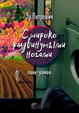 Эр Петрович С широко раздвинутыми ногами. Панк-роман обложка книги