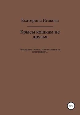 Екатерина Исакова Крысы кошкам не друзья обложка книги