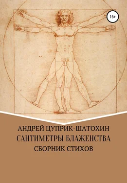 Андрей Цуприк-Шатохин Сантиметры блаженства обложка книги