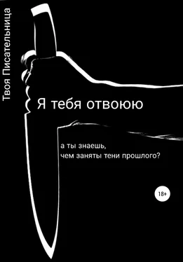 Твоя Писательница Я тебя отвоюю обложка книги