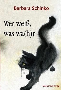 Barbara Schinko Wer weiß, was wa(h)r обложка книги