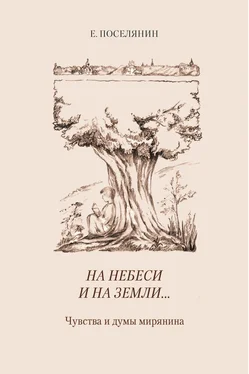 Евгений Поселянин На небеси и на земли… Чувства и думы мирянина обложка книги