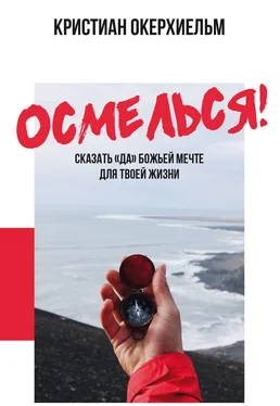 Кристиан Окерхиельм Осмелься! обложка книги