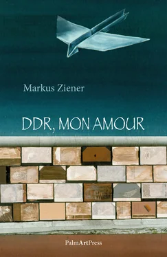 Markus Ziener DDR, mon amour обложка книги