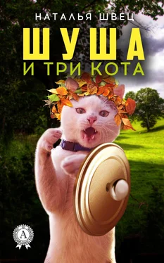 Наталья Швец Шуша и три кота обложка книги
