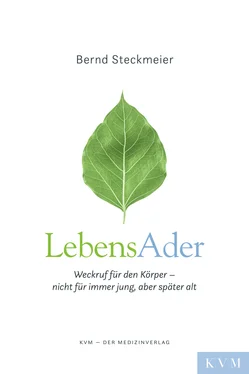 Bernd Steckmeier LebensAder обложка книги