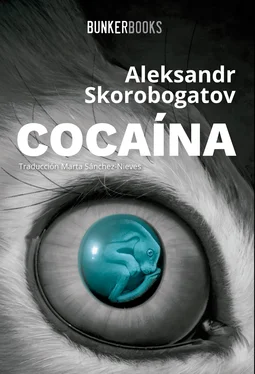 Aleksandr Skorobogatov Cocaína обложка книги