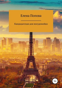 Елена Попова Кандидатская для посудомойки обложка книги