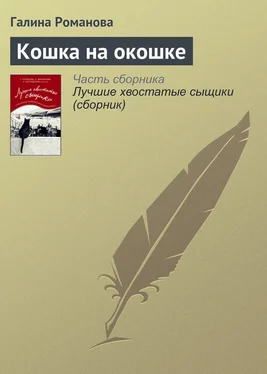 Галина Романова Кошка на окошке обложка книги