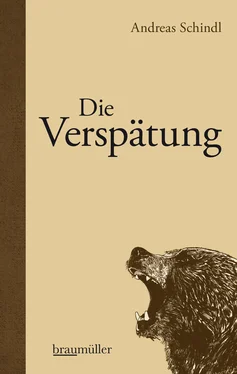 Andreas Schindl Die Verspätung обложка книги