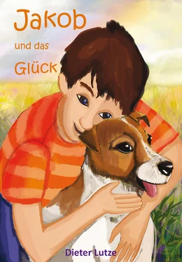 Dieter Lutze Jakob und das Glück обложка книги