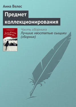 Анна Велес Предмет коллекционирования обложка книги