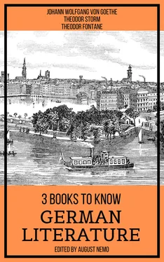 Theodor Storm 3 Books To Know German Literature