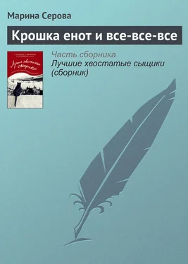 Марина Серова Крошка енот и все-все-все обложка книги