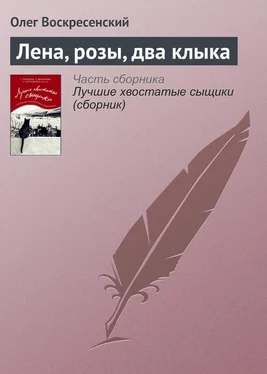 Олег Воскресенский Лена, розы, два клыка обложка книги