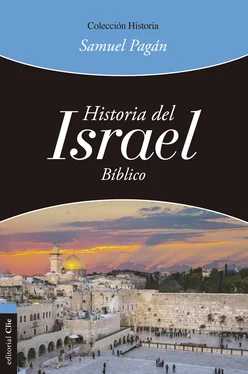 Samuel Pagán Historia del Israel bíblico обложка книги