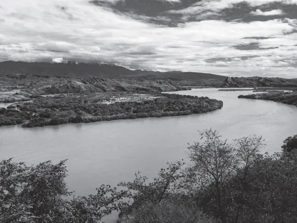 RÍO MAGDALENA SUR DE HUILA De nuevo en mi casa en el campo intento recobrar - фото 4