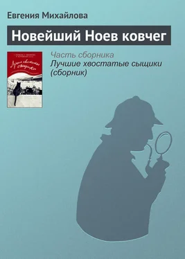 Евгения Михайлова Новейший Ноев ковчег обложка книги